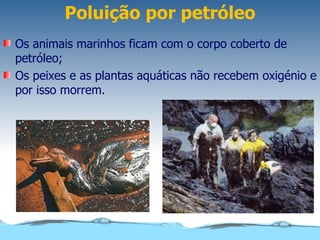 Poluição por petróleo
Os animais marinhos ficam com o corpo coberto de
petróleo;
Os peixes e as plantas aquáticas não recebem oxigénio e
por isso morrem.
 