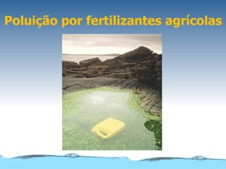 Poluição por fertilizantes agrícolas
 