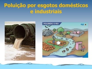 Poluição por esgotos domésticos
          e industriais
 