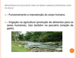 IMPORTÂNCIA DA ÁGUA DOCE PARA OS SERES HUMANOS (PRINCIPAIS USOS 
DA ÁGUA): 
 - Funcionamento e manutenção do corpo humano. 
 - Irrigação na agricultura (produção de alimentos para os 
seres humanos). Uso também na pecuária (criação de 
gado). 
 