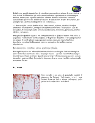 Infeções em seguida à mordedura de rato são comuns em áreas urbanas de pouca higiene e
com pessoal de laboratório que utiliza animaizinhos de experimentação (camundongos
brancos, hanster) está sujeito a contrai-las também. Alem da mordedura, alimentos
contaminados por roedores podem ser veículos de transmissão. A febre de Haverhill, por
exemplo, tem sido transmitida por leite cru contaminado.
As manifestações clínicas podem incluir febre, cefaléia, vômitos, calafrios, mialgias,
exantemas linfonodopatias, altralgias com derrames articulares e ulceração no local da
mordedura. Como complicacões arrolam-se endocardite, pneumonia, pericardite, infartos
sépticos e abscessos.
O diagnóstico pode ser sugerido por contagem elevada de glóbulos brancos com desvio à
esquerda e eventualmente trombocitopenia. O diagnóstico de certeza se procede por cultura
do sangue, do tecido gânglio ou pesquisa em campo escuro, do material de lesão:
inoculação em animal de laboratório e provas sorológicas são também recursos
diagnósticos.
Para tratamento a penicilina é a droga geralmente utilizada.
Para a prevenção de tais infeções recomenda-se cuidadosa lavagem com bastante água e
sabão no local da mordedura, mais a prescrição médica . Deve ser considerada a situação
imunitária em relação ao tétano. Quando a raiva for prevalente em outras espécies animais
da região e a agressividade do roedor for incomum deve-se pensar, também na imunização
contra essa doença.
ÚLCERAS
Entre metade e um terço da população mundial é
portadora da bactéria Helicobacter pylory, uma
bactéria lenta que infecta alguns estômagos e pode
provocar úlceras e câncer neste local.
 