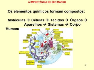 A IMPORTÂNCIA DE SER MANSO Os elementos químicos formam compostos: Moléculas    Células    Tecidos    Órgãos     Aparelhos    Sistemas    Corpo Humano 