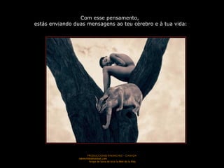 Com esse pensamento,  estás enviando duas mensagens ao teu cérebro e à tua vida: 