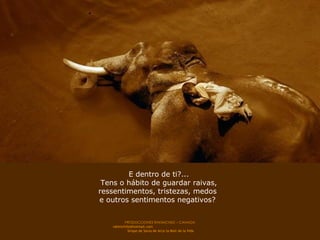 E dentro de ti?... Tens o hábito de guardar raivas, ressentimentos, tristezas, medos  e outros sentimentos negativos?  