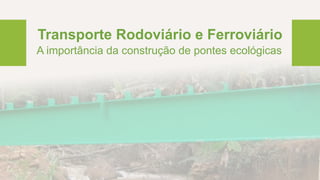 Transporte Rodoviário e Ferroviário
A importância da construção de pontes ecológicas
 