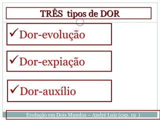 TRÊS tipos de DOR

Dor-evolução

Dor-expiação

Dor-auxílio
   Evolução em Dois Mundos – André Luiz (cap. 19 )
 