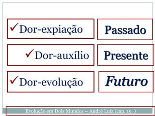 Dor-expiação                      Passado

  Dor-auxílio                     Presente

Dor-evolução                      Futuro
  Evolução em Dois Mundos – André Luiz (cap. 19 )
 