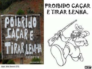 PROIBIDO CAÇAR
E TIRAR LENHA.
 
