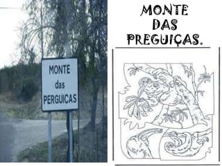 MONTE
DAS
PREGUIÇAS.
 