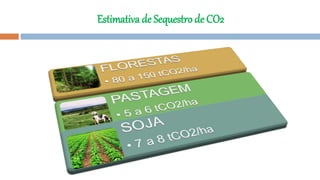 Estimativa de Sequestro de CO2
 