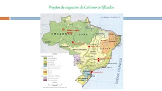 Jufari – ekos
Brasil
Projetos de sequestro de Carbono certificados
 