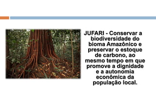 JUFARI - Conservar a
biodiversidade do
bioma Amazônico e
preservar o estoque
de carbono, ao
mesmo tempo em que
promove a dignidade
e a autonomia
econômica da
população local.
 