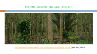http://reflorestamentoecarbono.com.br/sequestro-de-carbono/ <acesso em: 06/12/2015
POÇO DE CARBONO FLORESTAL - PEUGEOT
 