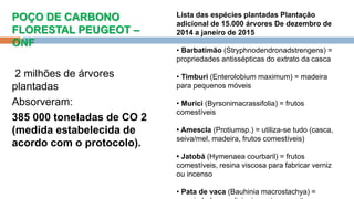 POÇO DE CARBONO
FLORESTAL PEUGEOT –
ONF
2 milhões de árvores
plantadas
Absorveram:
385 000 toneladas de CO 2
(medida estabelecida de
acordo com o protocolo).
Lista das espécies plantadas Plantação
adicional de 15.000 árvores De dezembro de
2014 a janeiro de 2015
• Barbatimão (Stryphnodendronadstrengens) =
propriedades antissépticas do extrato da casca
• Timburi (Enterolobium maximum) = madeira
para pequenos móveis
• Murici (Byrsonimacrassifolia) = frutos
comestíveis
• Amescla (Protiumsp.) = utiliza-se tudo (casca,
seiva/mel, madeira, frutos comestíveis)
• Jatobá (Hymenaea courbaril) = frutos
comestíveis, resina viscosa para fabricar verniz
ou incenso
• Pata de vaca (Bauhinia macrostachya) =
 