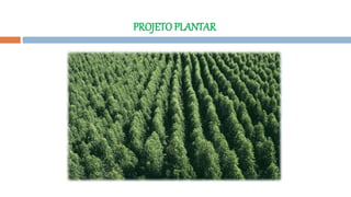 PROJETOPLANTAR
 