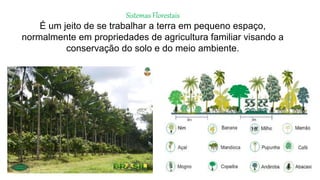 Sistemas Florestais
É um jeito de se trabalhar a terra em pequeno espaço,
normalmente em propriedades de agricultura familiar visando a
conservação do solo e do meio ambiente.
 