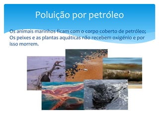 Os animais marinhos ficam com o corpo coberto de petróleo;
Os peixes e as plantas aquáticas não recebem oxigénio e por
isso morrem.
Poluição por petróleo
 