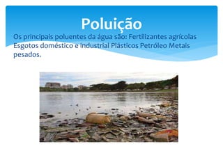 Os principais poluentes da água são: Fertilizantes agrícolas
Esgotos doméstico e industrial Plásticos Petróleo Metais
pesados.
Poluição
 
