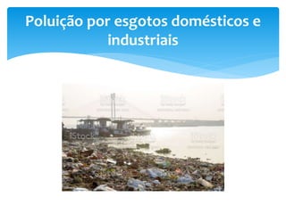 Poluição por esgotos domésticos e
industriais
 
