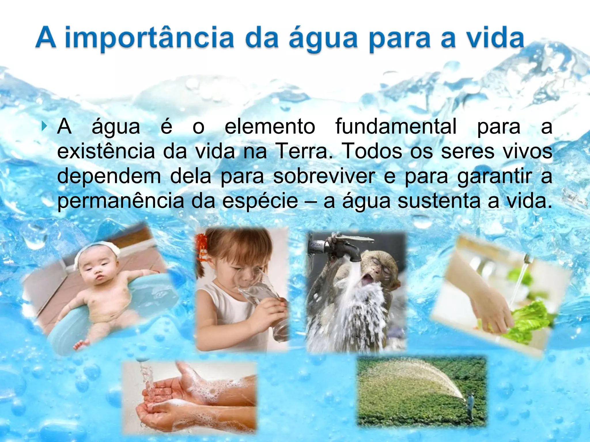 A importância da água (aula 2º ano fundamental) | PPT