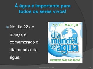 Á água é importante para
todos os seres vivos!
 No dia 22 de
março, é
comemorado o
dia mundial da
água.
13Ciências Naturais - ICRM
 