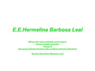 E.E.Hermelina Barbosa Leal Oficina de meio ambiente prof:Juliana  Ensino médio inovador Turma D Alunos(a):Adriele,Cristiane,Bruna,Eliane,Karolina,Karoline Escola:Hermelina Barbosa Leal 
