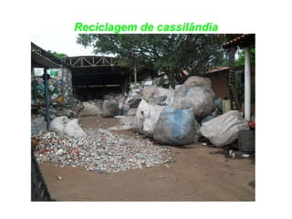 Reciclagem de cassilândia 
