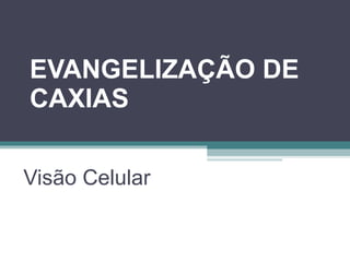 EVANGELIZAÇÃO DE CAXIAS Visão Celular 