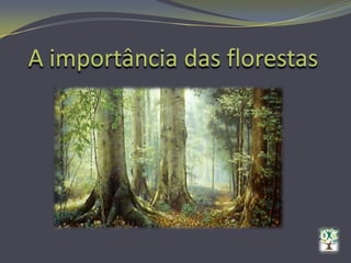 A importância das florestas 