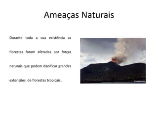 Ameaças Naturais
Durante toda a sua existência as
florestas foram afetadas por forças
naturais que podem danificar grandes
extensões de florestas tropicais.
