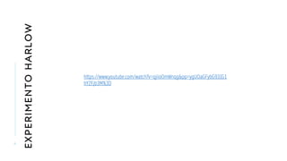 EXPERIMENTO
HARLOW
6
https://www.youtube.com/watch?v=qjiioOmWnqg&pp=ygUOaGFybG93IG1
hY2Fjb3M%3D
 