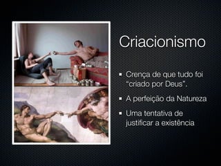 Criacionismo
Crença de que tudo foi
“criado por Deus”.
A perfeição da Natureza
Uma tentativa de
justiﬁcar a existência
 
