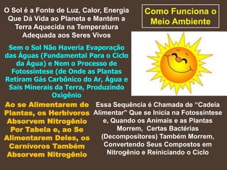 Como Funciona o
Meio Ambiente
O Sol é a Fonte de Luz, Calor, Energia
Que Dá Vida ao Planeta e Mantém a
Terra Aquecida na Temperatura
Adequada aos Seres Vivos
Sem o Sol Não Haveria Evaporação
das Águas (Fundamental Para o Ciclo
da Água) e Nem o Processo de
Fotossíntese (de Onde as Plantas
Retiram Gás Carbônico do Ar, Água e
Sais Minerais da Terra, Produzindo
Oxigênio
Ao se Alimentarem de
Plantas, os Herbívoros
Absorvem Nitrogênio
Por Tabela e, ao Se
Alimentarem Deles, os
Carnívoros Também
Absorvem Nitrogênio
Essa Sequência é Chamada de “Cadeia
Alimentar” Que se Inicia na Fotossíntese
e, Quando os Animais e as Plantas
Morrem, Certas Bactérias
(Decompositores) Também Morrem,
Convertendo Seus Compostos em
Nitrogênio e Reiniciando o Ciclo
 