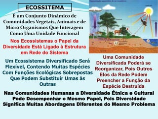 ECOSSITEMA
É um Conjunto Dinâmico de
Comunidades Vegetais, Animais e de
Micro Organismos Que Interagem
Como Uma Unidade Funcional
Nos Ecossistemas o Papel da
Diversidade Está Ligado à Estrutura
em Rede do Sistema
Um Ecossistema Diversificado Será
Flexível, Contendo Muitas Espécies
Com Funções Ecológicas Sobrepostas
Que Podem Substituir Umas às
Outras
Uma Comunidade
Diversificada Poderá se
Reorganizar, Pois Outros
Elos da Rede Podem
Preencher a Função da
Espécie Destruída
Nas Comunidades Humanas a Diversidade Étnica e Cultural
Pode Desempenhar o Mesmo Papel, Pois Diversidade
Significa Muitas Abordagens Diferentes do Mesmo Problema
 