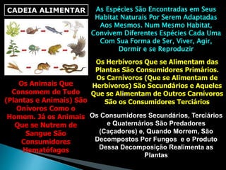 CADEIA ALIMENTAR As Espécies São Encontradas em Seus
Habitat Naturais Por Serem Adaptadas
Aos Mesmos. Num Mesmo Habitat,
Convivem Diferentes Espécies Cada Uma
Com Sua Forma de Ser, Viver, Agir,
Dormir e se Reproduzir
Os Herbívoros Que se Alimentam das
Plantas São Consumidores Primários.
Os Carnívoros (Que se Alimentam de
Herbívoros) São Secundários e Aqueles
Que se Alimentam de Outros Carnívoros
São os Consumidores Terciários
Os Animais Que
Consomem de Tudo
(Plantas e Animais) São
Onívoros Como o
Homem. Já os Animais
Que se Nutrem de
Sangue São
Consumidores
Hematófagos
Os Consumidores Secundários, Terciários
e Quaternários São Predadores
(Caçadores) e, Quando Morrem, São
Decompostos Por Fungos e o Produto
Dessa Decomposição Realimenta as
Plantas
 