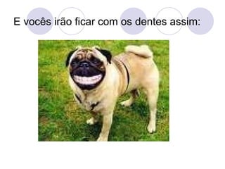 E vocês irão ficar com os dentes assim: 