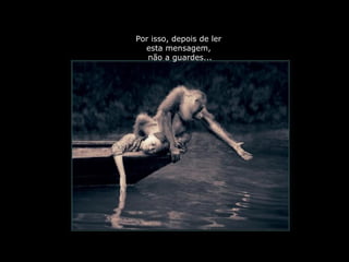 PRODUCCIONES
RAKIMCHILE – CANADA
Por isso, depois de ler
esta mensagem,
não a guardes...
 