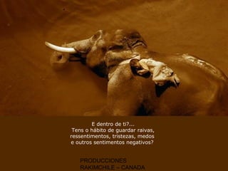 PRODUCCIONES
RAKIMCHILE – CANADA
E dentro de ti?...
Tens o hábito de guardar raivas,
ressentimentos, tristezas, medos
e outros sentimentos negativos?
 