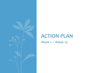 Week 1 – Week 13
ACTION PLAN
 