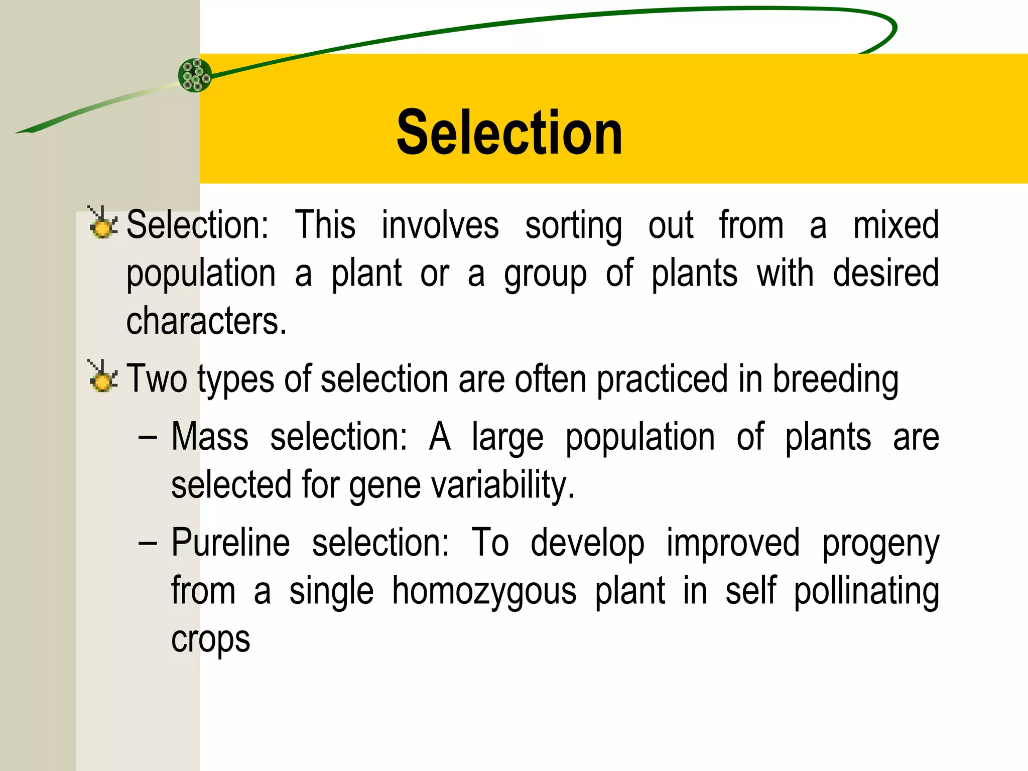 Selection
Selection: This involves sorting out from a mixed
population a plant or a group of plants with desired
characters.
Two types of selection are often practiced in breeding
– Mass selection: A large population of plants are
selected for gene variability.
– Pureline selection: To develop improved progeny
from a single homozygous plant in self pollinating
crops
 