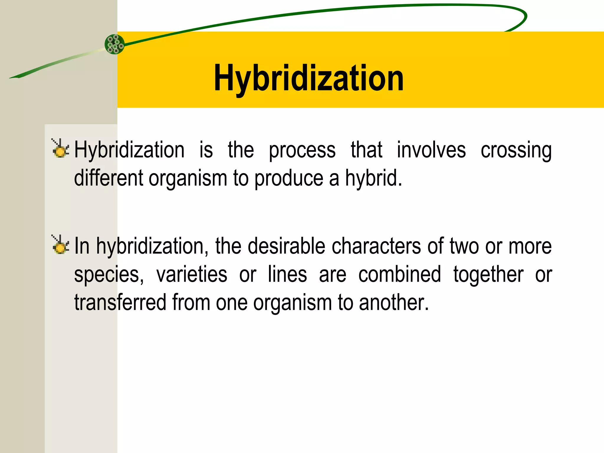 Hybridization
Hybridization is the process that involves crossing
different organism to produce a hybrid.
In hybridization, the desirable characters of two or more
species, varieties or lines are combined together or
transferred from one organism to another.
 