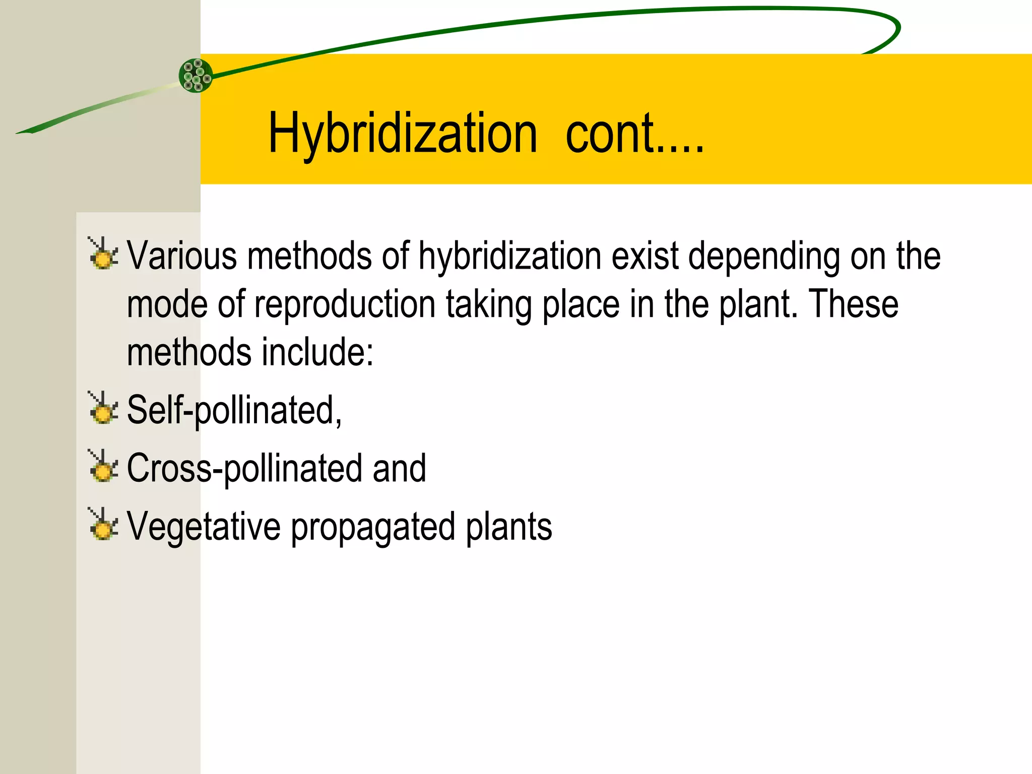 Hybridization cont....
Various methods of hybridization exist depending on the
mode of reproduction taking place in the plant. These
methods include:
Self-pollinated,
Cross-pollinated and
Vegetative propagated plants
 