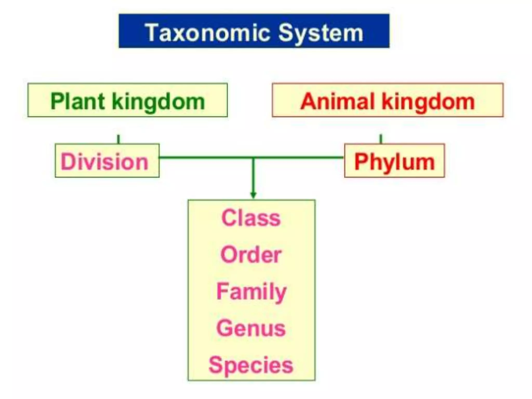 Aims and objectives of plant taxonomy | PPTX