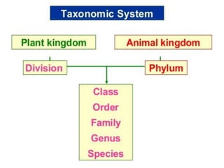 Aims and objectives of plant taxonomy | PPTX