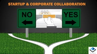 NO YES
STARTUP & CORPORATE COLLABORATION
 