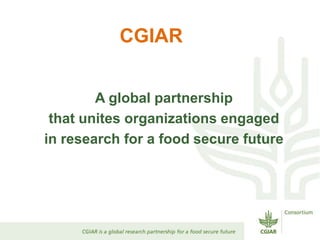 Aims presentation enrica porcari 23 oct 2012