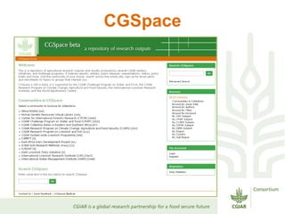 Aims presentation enrica porcari 23 oct 2012