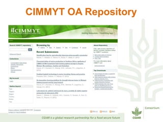 Aims presentation enrica porcari 23 oct 2012