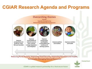 CGIAR Research Agenda and Programs
 