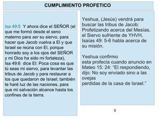 5
Yeshua, (Jesús) vendrá para
buscar las tribus de Jacob:
Profetizando acerca del Mesías,
el Siervo sufriente de YHVH,
Isaías 49: 5-6 habla acerca de
su misión.
Yeshua confirmo
esta profecía cuando anuncio en
Mateo 15: 24: “El respondiendo,
dijo: No soy enviado sino a las
ovejas
perdidas de la casa de Israel.”
CUMPLIMIENTO PROFETICO
Isa 49:5 Y ahora dice el SEÑOR (el
que me formó desde el seno
materno para ser su siervo, para
hacer que Jacob vuelva a El y que
Israel se reúna con El, porque
honrado soy a los ojos del SEÑOR
y mi Dios ha sido mi fortaleza),
Isa 49:6 dice El: Poca cosa es que
tú seas mi siervo, para levantar las
tribus de Jacob y para restaurar a
los que quedaron de Israel; también
te haré luz de las naciones, para
que mi salvación alcance hasta los
confines de la tierra.
 